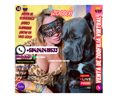 PUTA ZOOFILIA CHICA DISPONIBLE PORNO ANIMAL ONLINE A LA VENTA ZOOFILIA