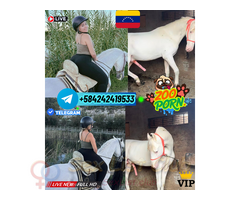CULONA FOLLADA ANAL POR PERROS CHICA ZOO TELEGRAM CABALLOS ANIMAL VIP