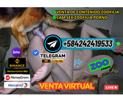 ZOOFILIA PORNO ONLINE VENTA REAL CAMSEX VENTA DE NUDES ZOOSEX VIP